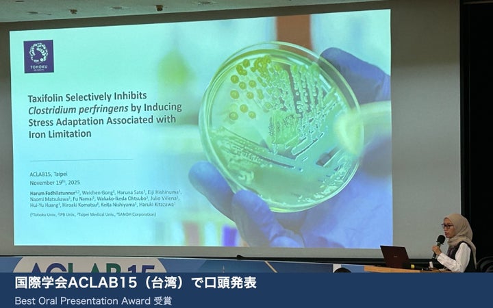 腸活に革命？！東北大発表タキシフォリン抗菌力が超注目🤩