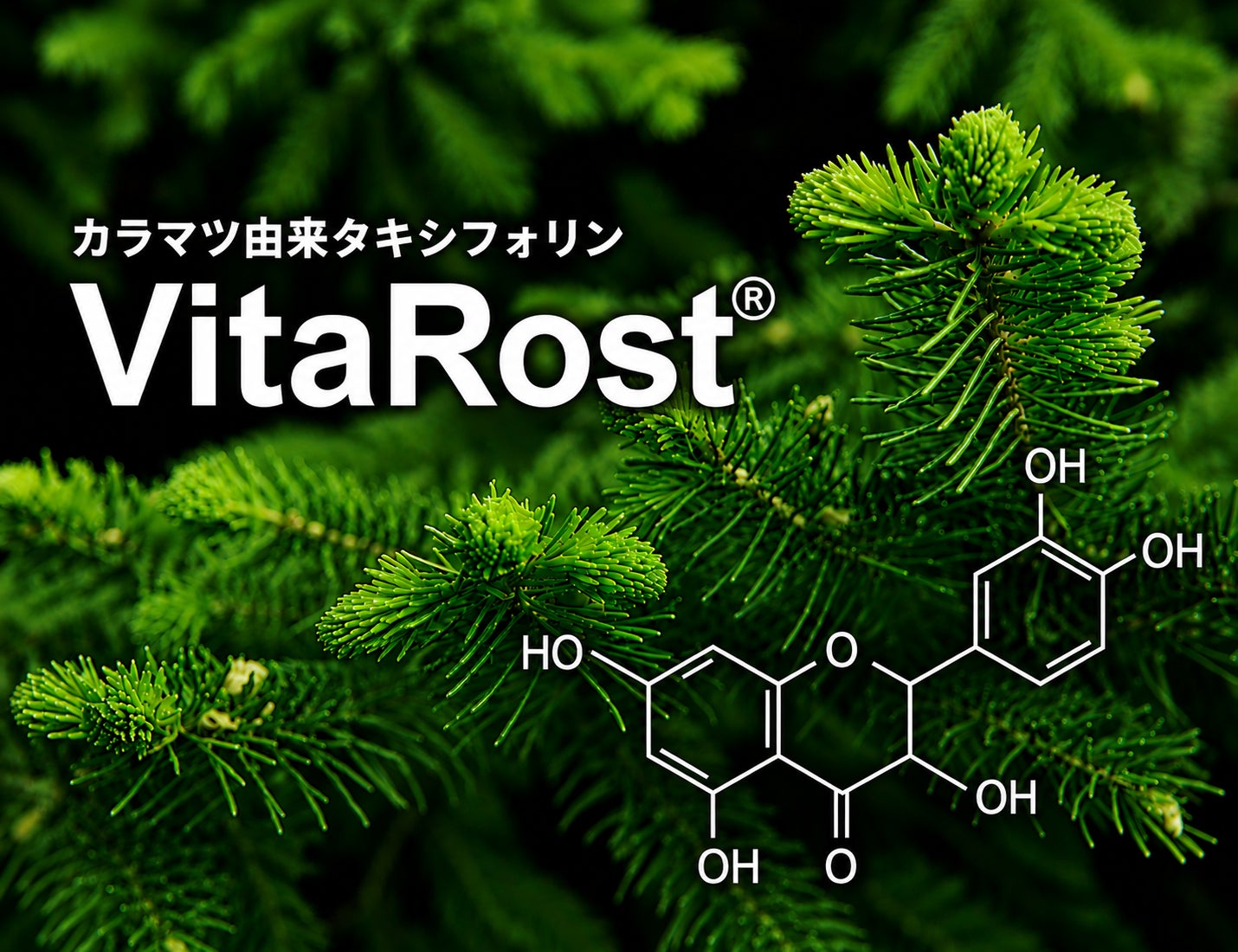 腸活に革命？！東北大発表タキシフォリン抗菌力が超注目🤩