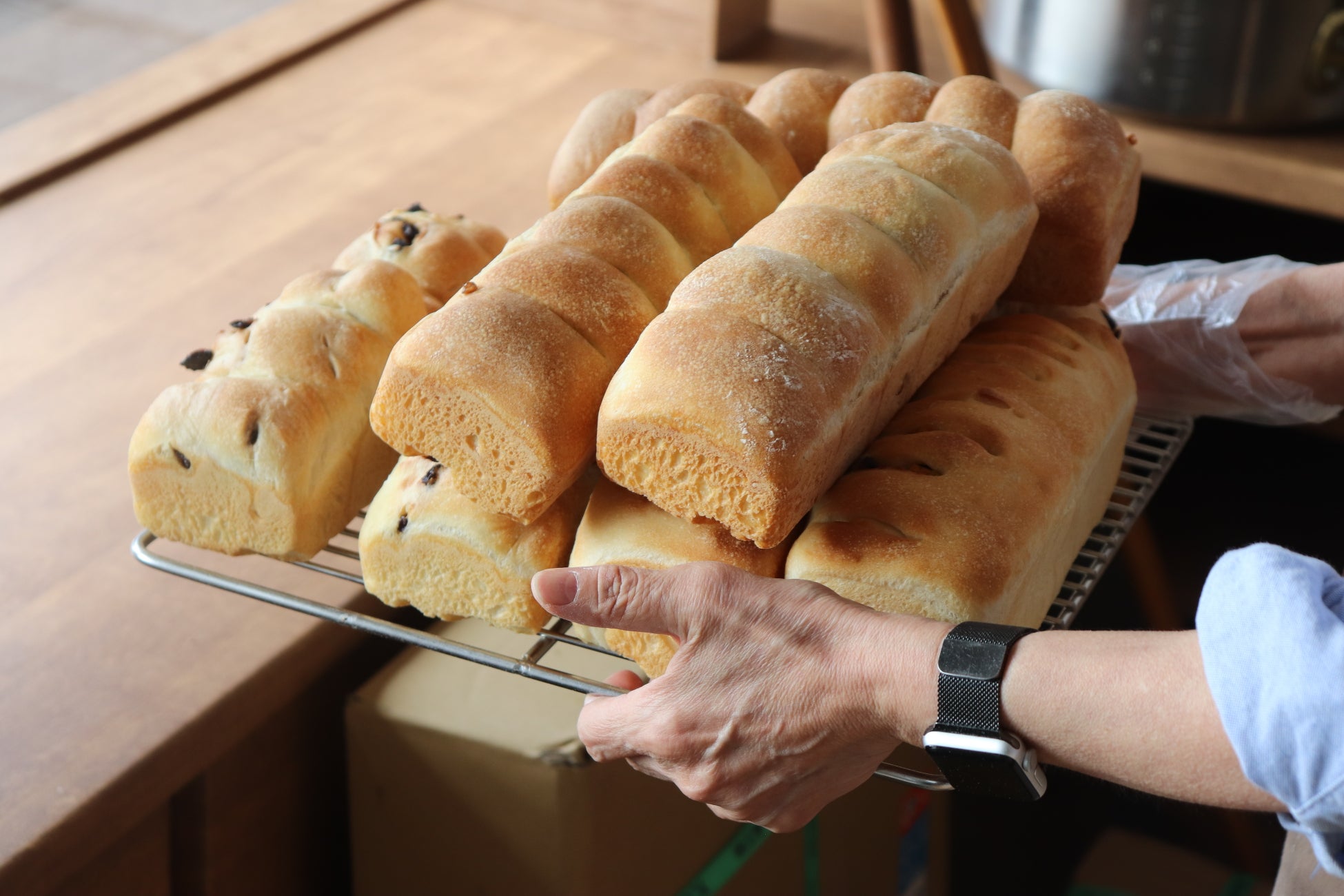 札幌に奇跡のパン屋爆誕🍞22年の味受け継ぐ！