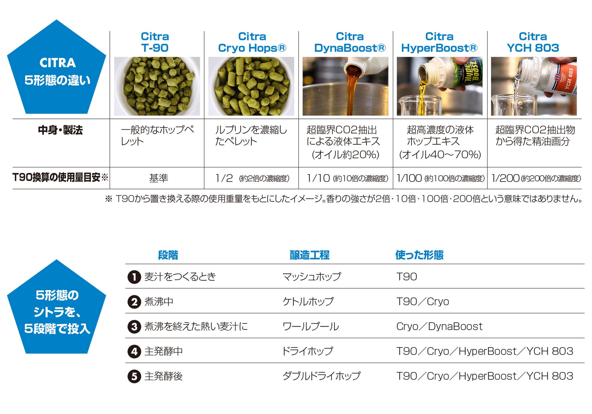 必飲！サンクトガーレン5周年限定PENTA CITRA＆20