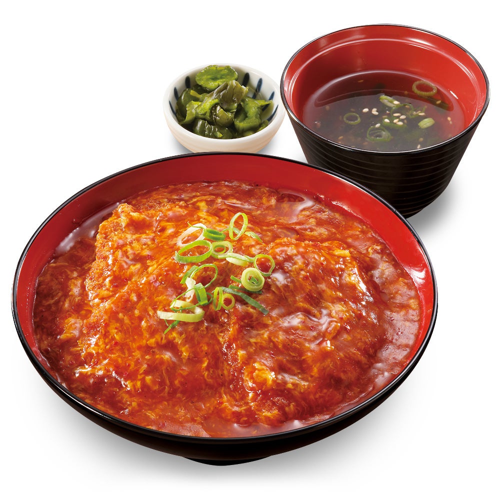 たれとん激ウマ確定！新丼に汁物付＆肉そばも登場🥢✨