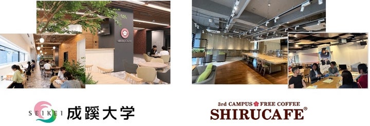 知るカフェ」成蹊大に爆誕!学生必食グルメが激アツ🔥