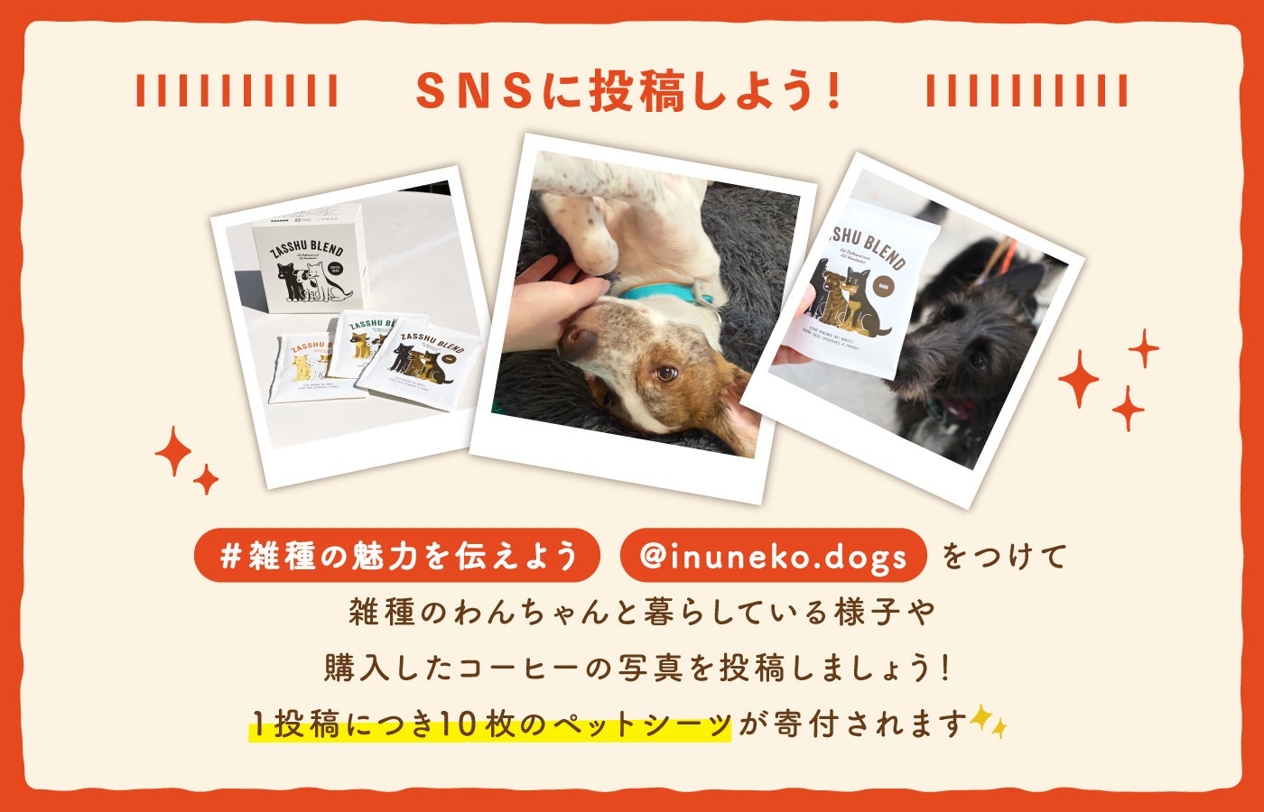 激ウマ確定!ZASSHU BLEND🐶チャリティ超話題
