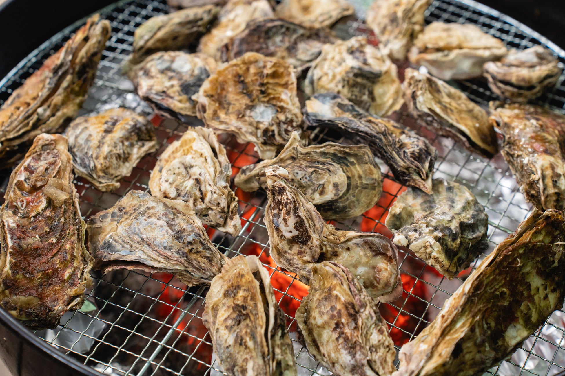 超話題！瀬戸の牡蠣食べ放題11月解禁🦪🔥必食！