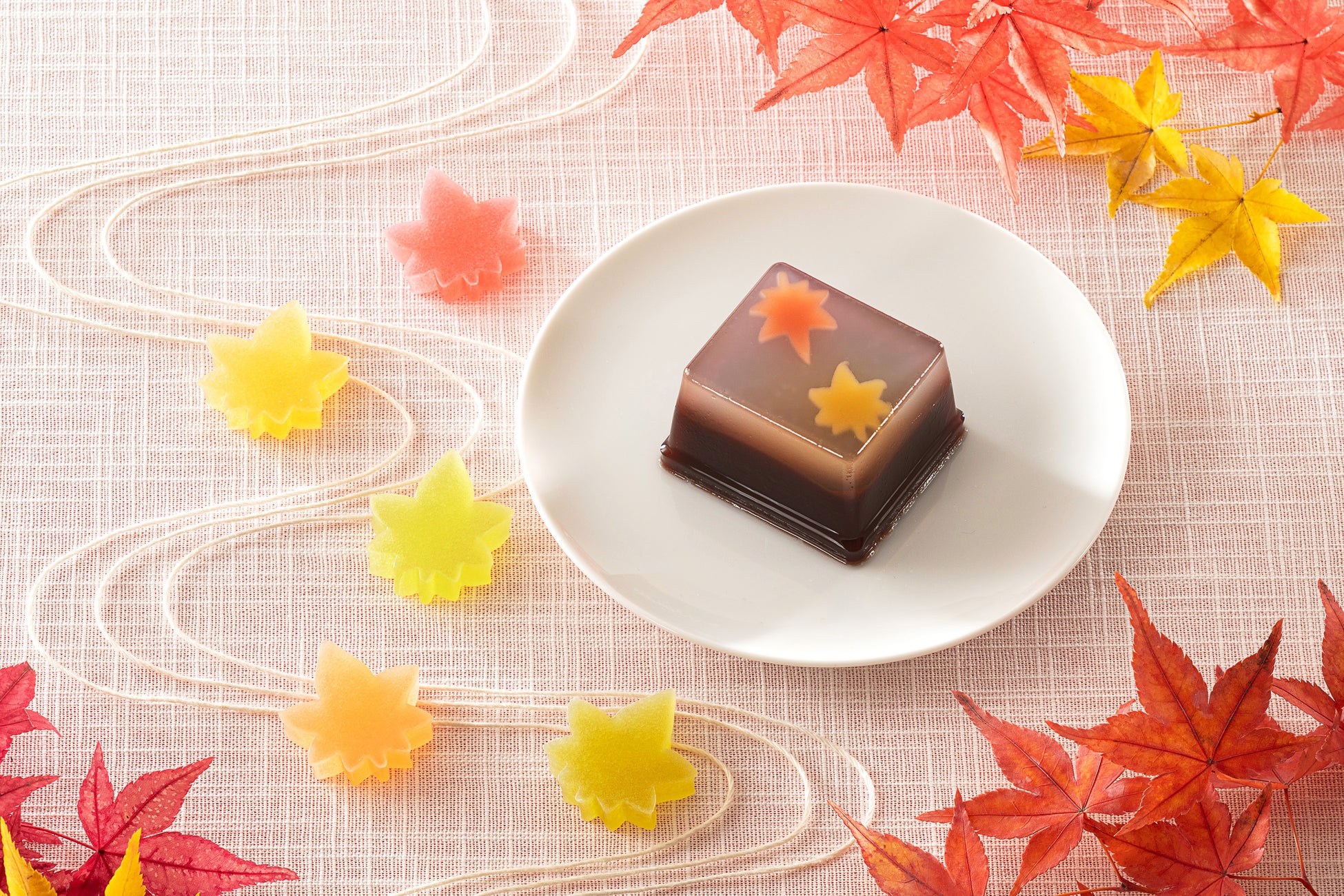 数量限定！必食🍁紅葉琥珀糖＆羊羹は激ウマ確定✨