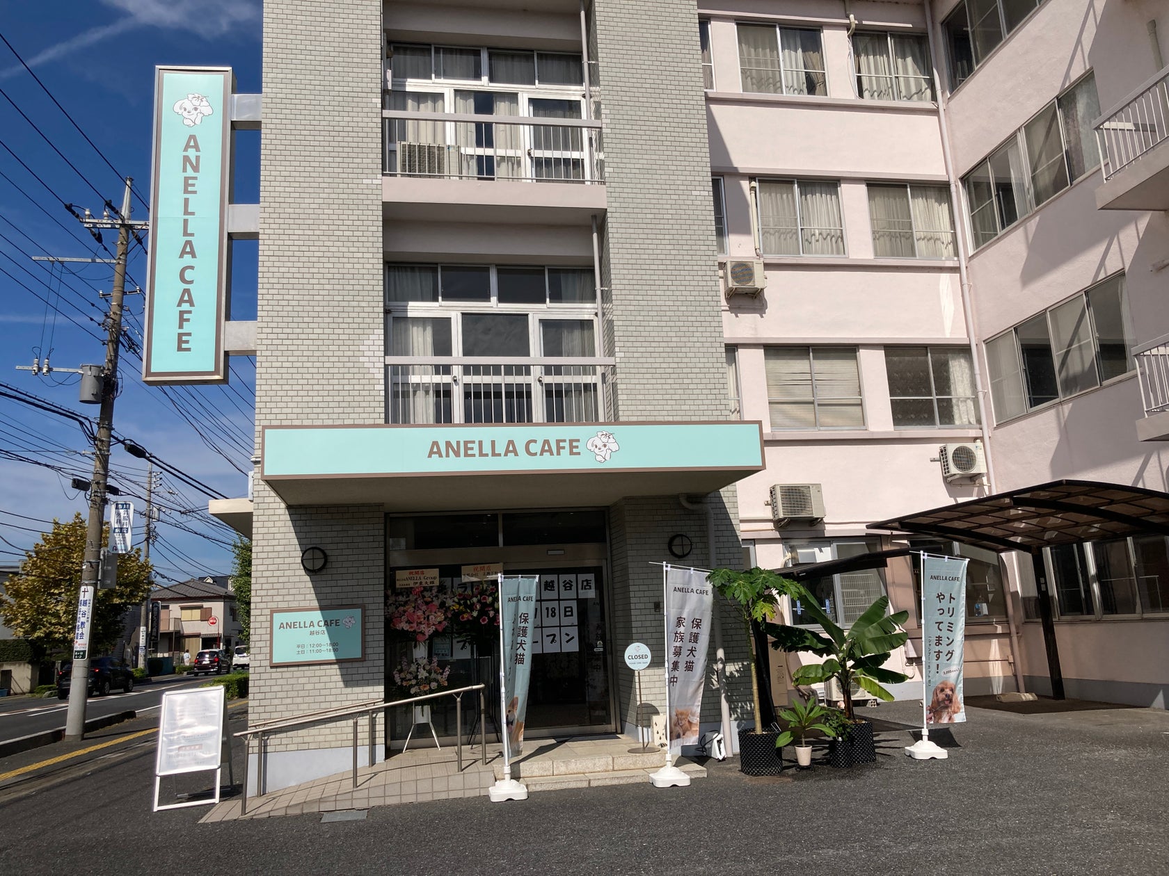 必見!越谷に保護犬猫カフェOPEN🐶感動の出会いを体験しよう