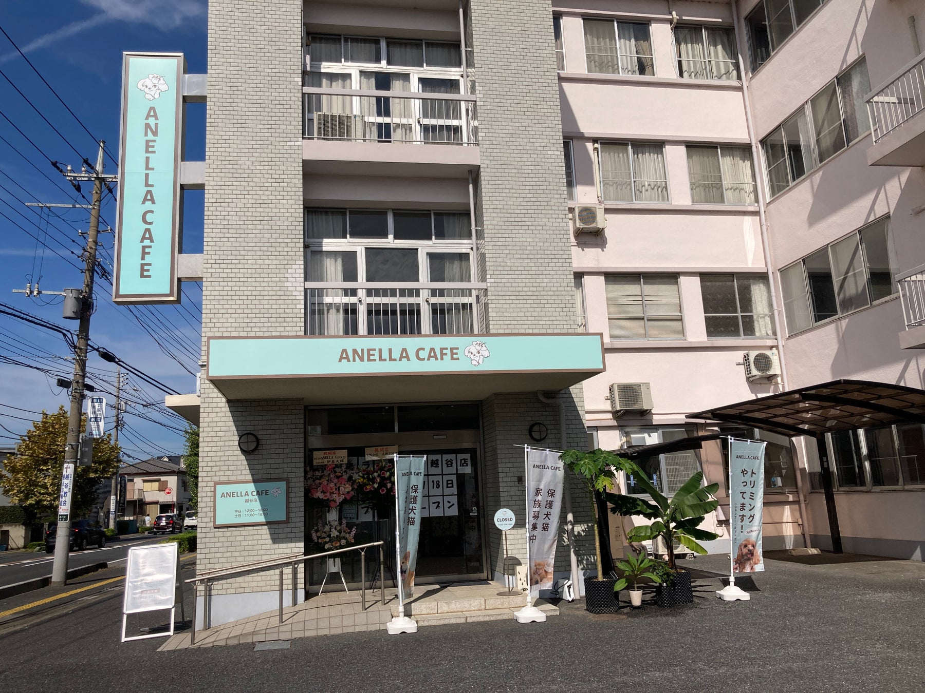必見!越谷に保護犬猫カフェOPEN🐶感動の出会いを体験しよう