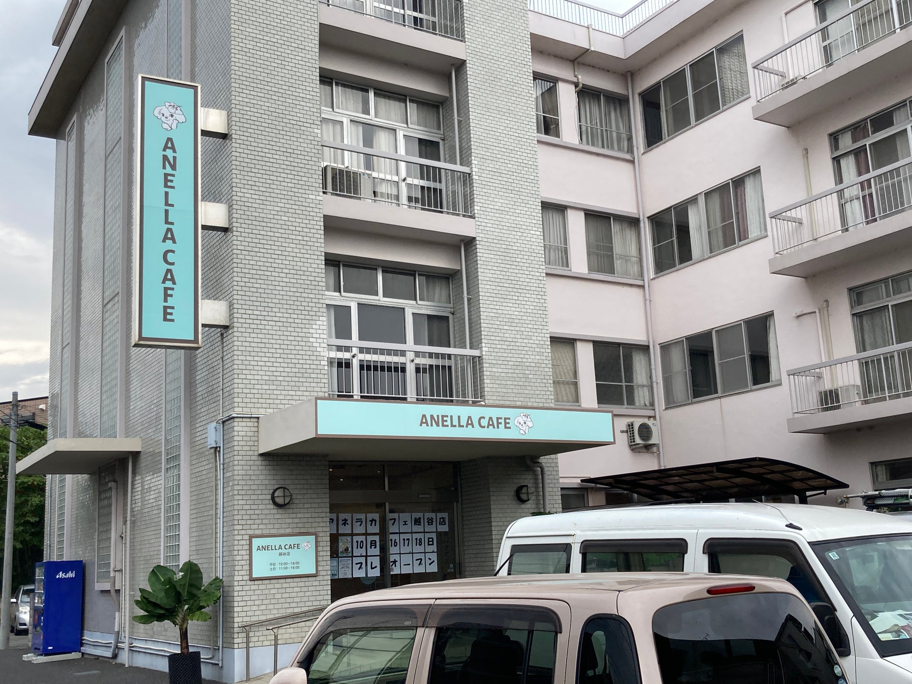 必見!越谷に保護犬猫カフェOPEN🐶感動の出会いを体験しよう