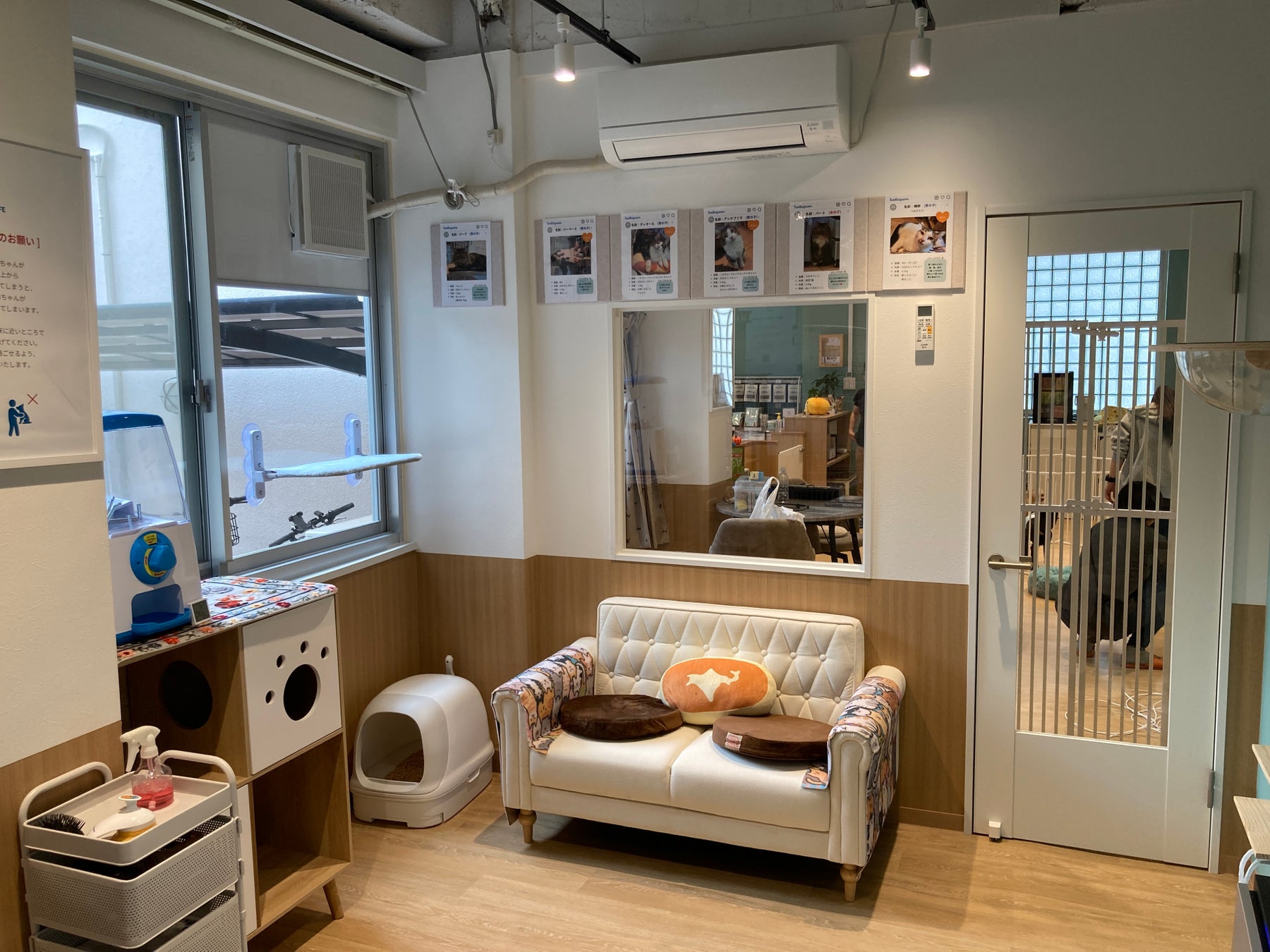 必見!越谷に保護犬猫カフェOPEN🐶感動の出会いを体験しよう