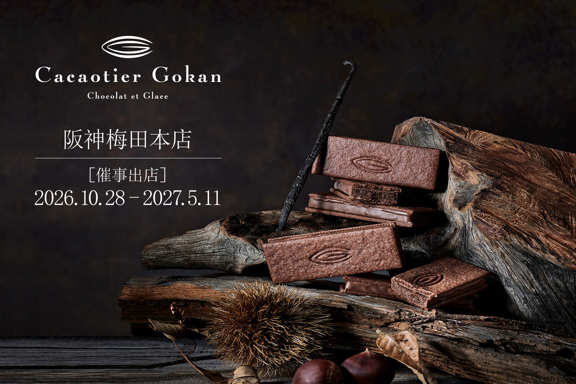 阪神限定!カカオティエゴカン激ウマチョコ🍫✨超話題のプチガト