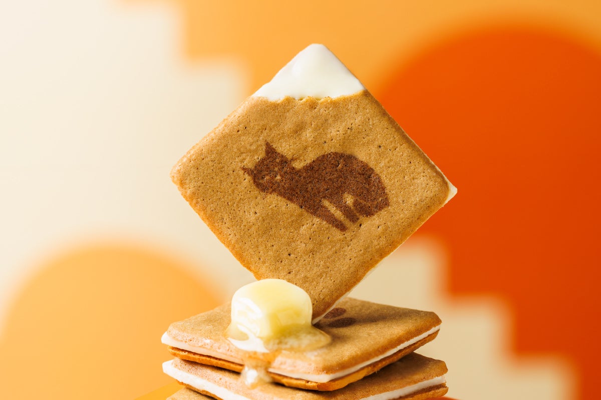 KOKUNEKOの激カワ🍫コクウマフィナンシェ必食！