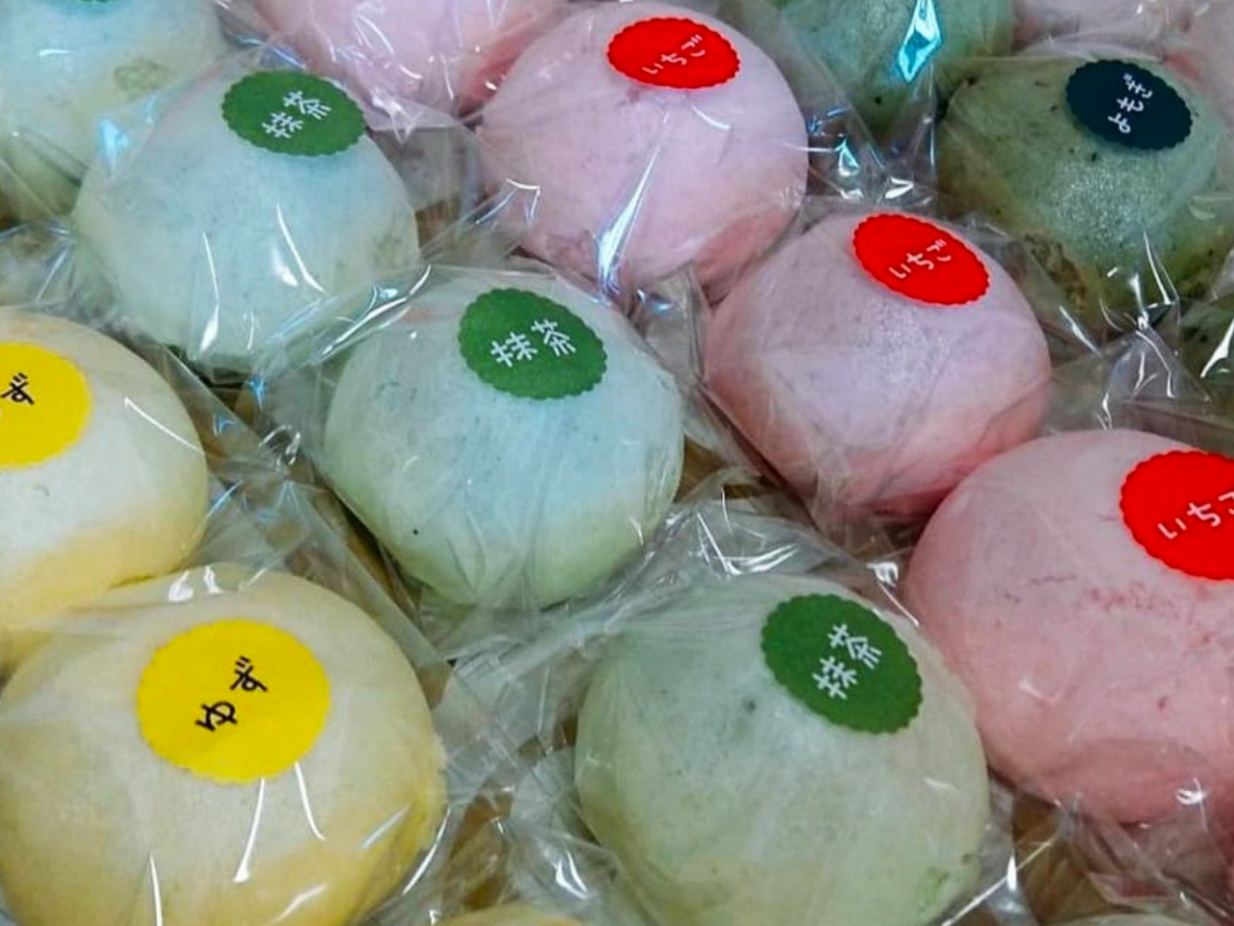 福岡クロレラ祭！激ウマグルメ必食🤤✨